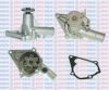 AQUAPLUS 85-5265 Water Pump